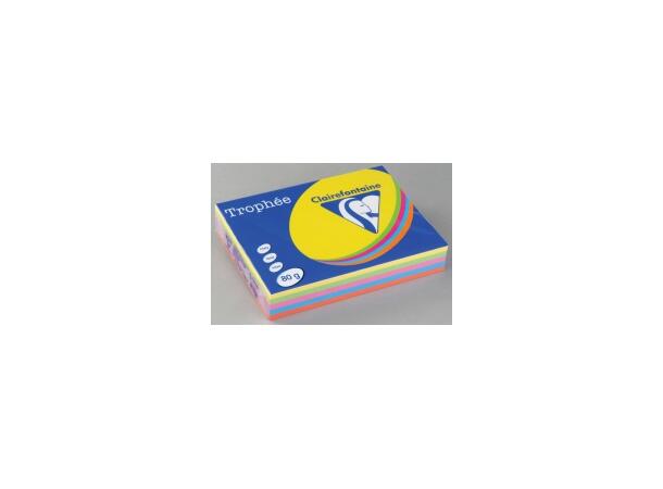 Kopipapir Throphee I. A4 80g 5 frg (500) 